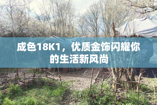 成色18K1，优质金饰闪耀你的生活新风尚