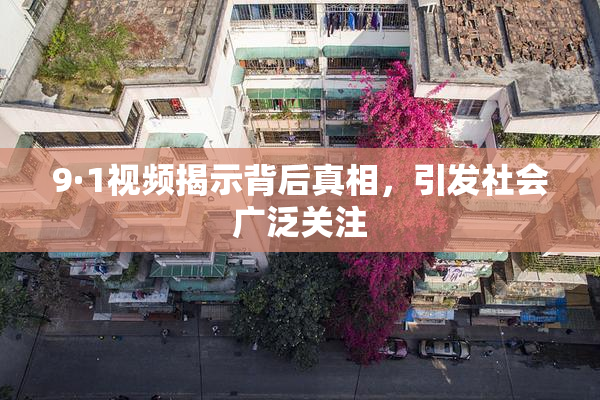 9·1视频揭示背后真相，引发社会广泛关注