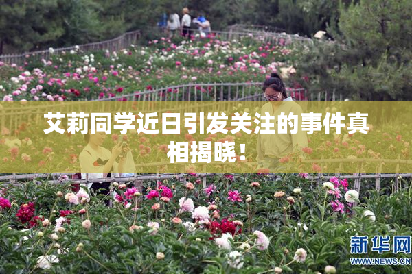 艾莉同学近日引发关注的事件真相揭晓！