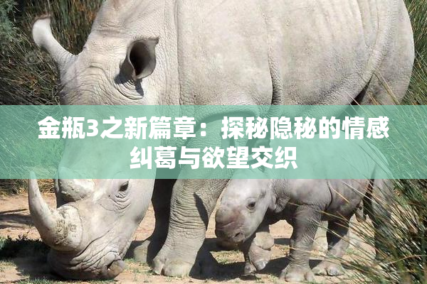 金瓶3之新篇章：探秘隐秘的情感纠葛与欲望交织