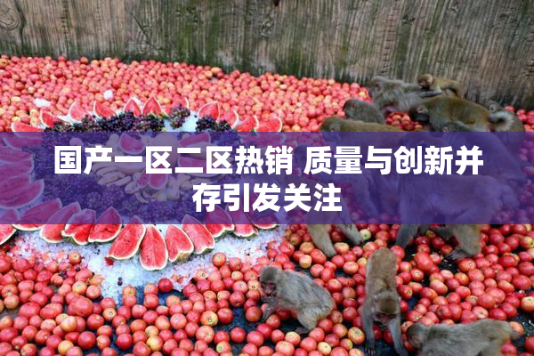 国产一区二区热销 质量与创新并存引发关注