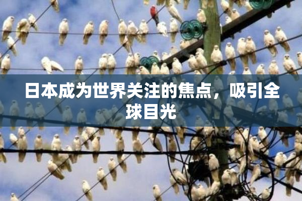 日本成为世界关注的焦点，吸引全球目光