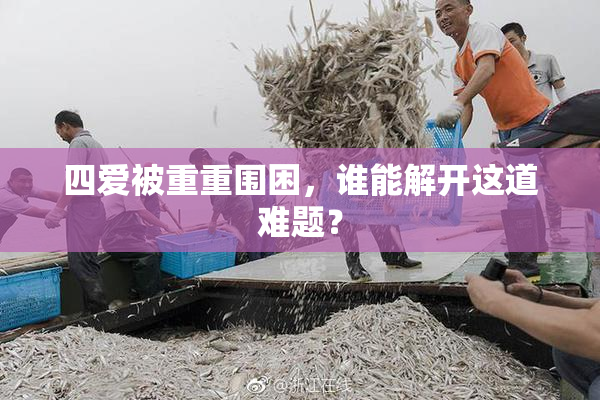 四爱被重重围困，谁能解开这道难题？