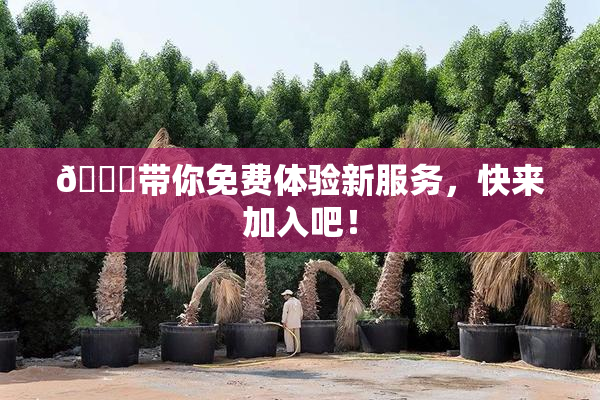 🔞带你免费体验新服务，快来加入吧！