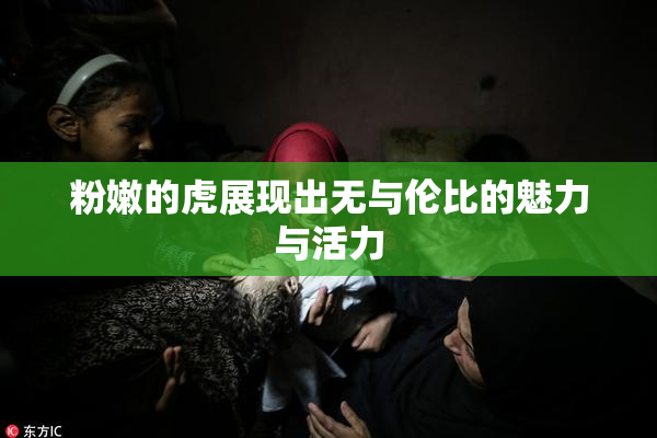 粉嫩的虎展现出无与伦比的魅力与活力