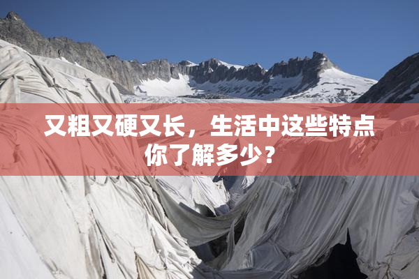 又粗又硬又长，生活中这些特点你了解多少？