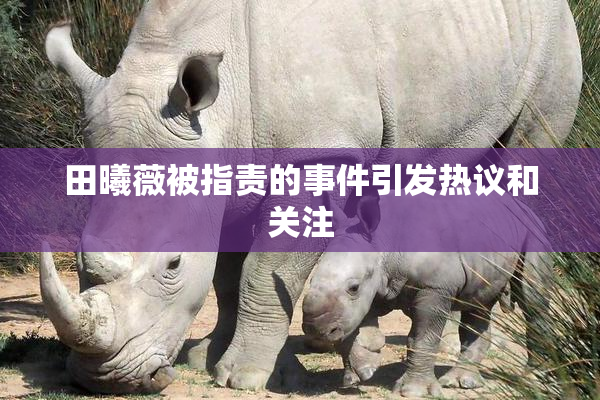 田曦薇被指责的事件引发热议和关注