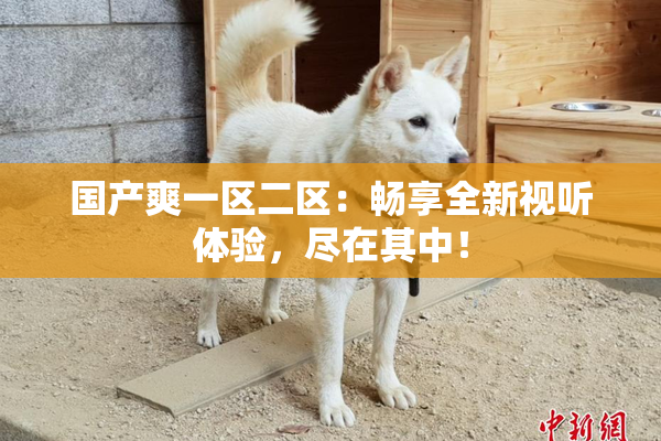 国产爽一区二区：畅享全新视听体验，尽在其中！