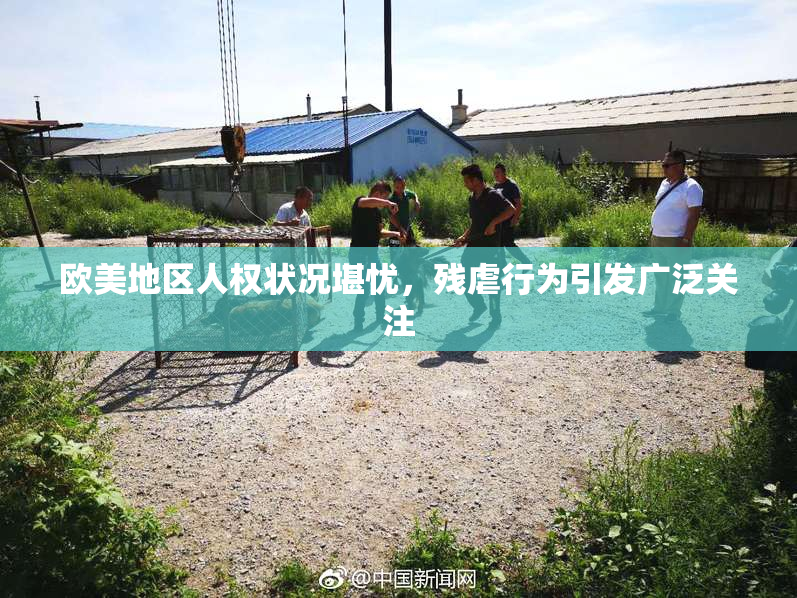 欧美地区人权状况堪忧，残虐行为引发广泛关注