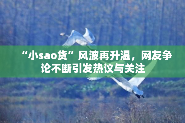 “小sao货”风波再升温，网友争论不断引发热议与关注