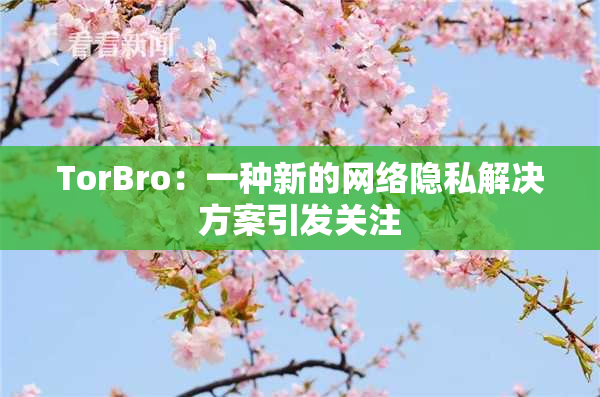 TorBro：一种新的网络隐私解决方案引发关注