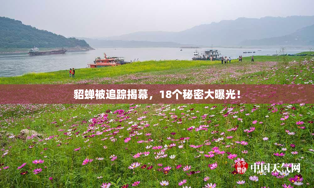 貂蝉被追踪揭幕，18个秘密大曝光！