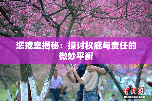 惩戒室揭秘：探讨权威与责任的微妙平衡
