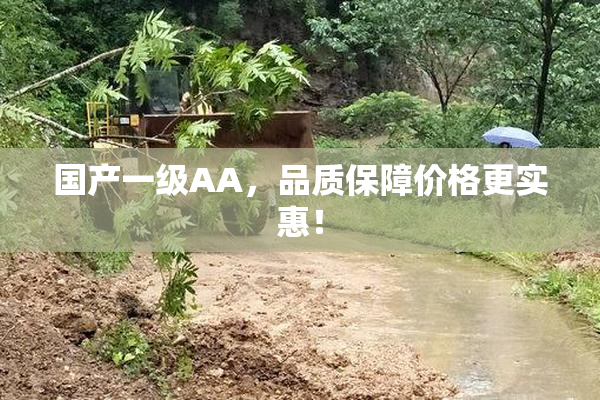 国产一级AA，品质保障价格更实惠！