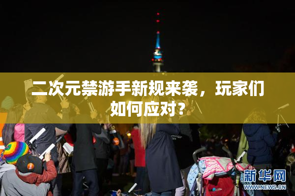 二次元禁游手新规来袭，玩家们如何应对？