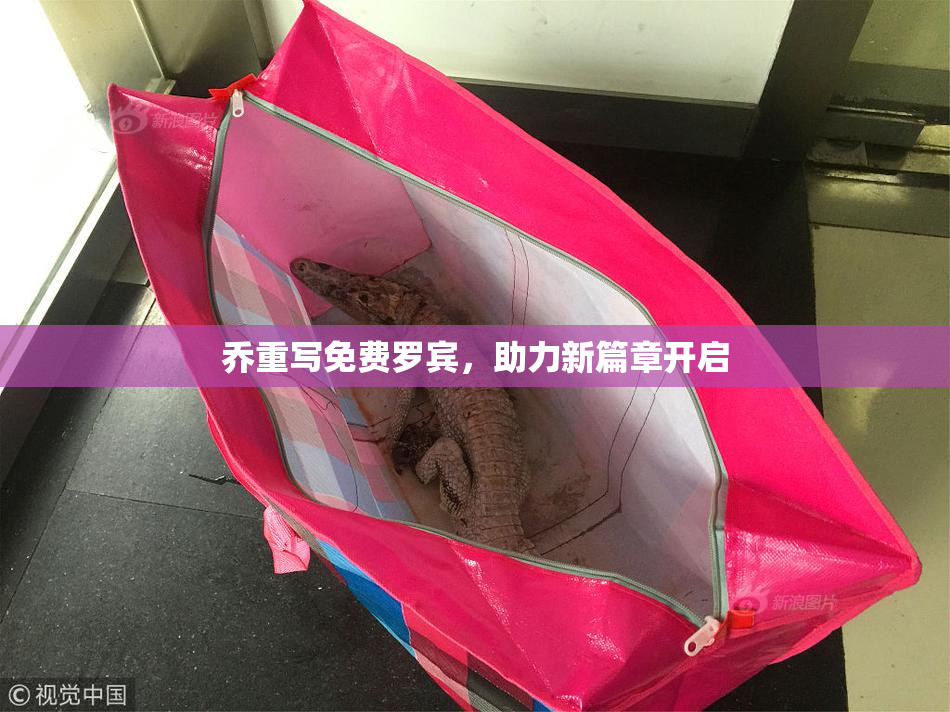 乔重写免费罗宾，助力新篇章开启