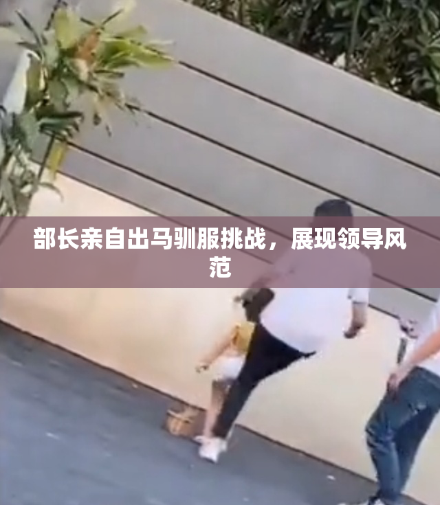 部长亲自出马驯服挑战，展现领导风范