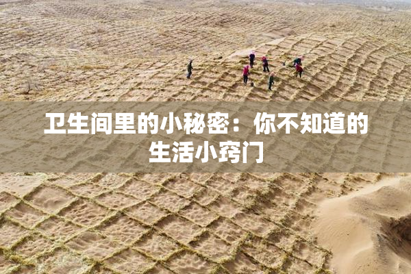 卫生间里的小秘密：你不知道的生活小窍门