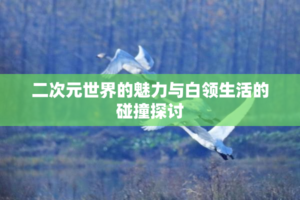 二次元世界的魅力与白领生活的碰撞探讨