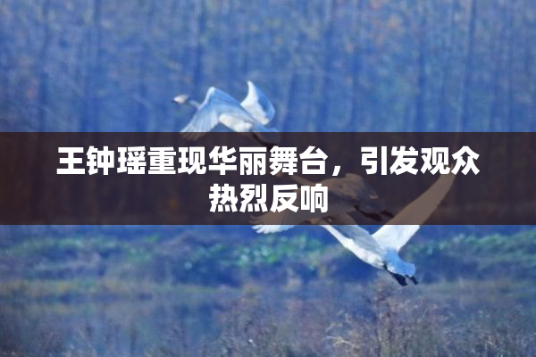 王钟瑶重现华丽舞台，引发观众热烈反响