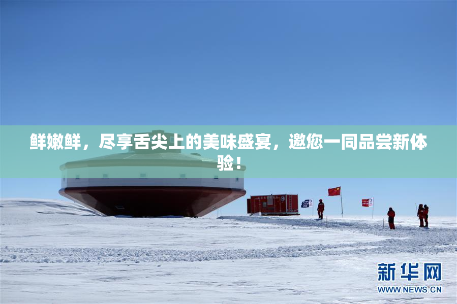 鲜嫩鲜，尽享舌尖上的美味盛宴，邀您一同品尝新体验！