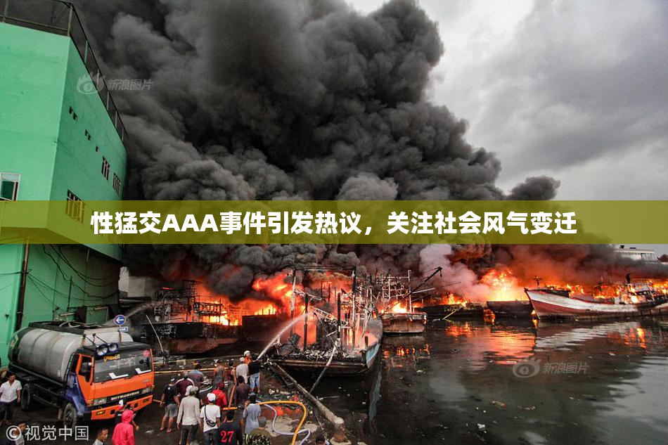 性猛交AAA事件引发热议，关注社会风气变迁