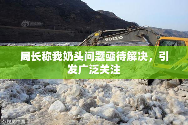 局长称我奶头问题亟待解决，引发广泛关注