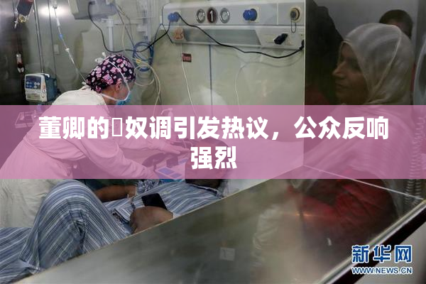 董卿的婬奴调引发热议，公众反响强烈