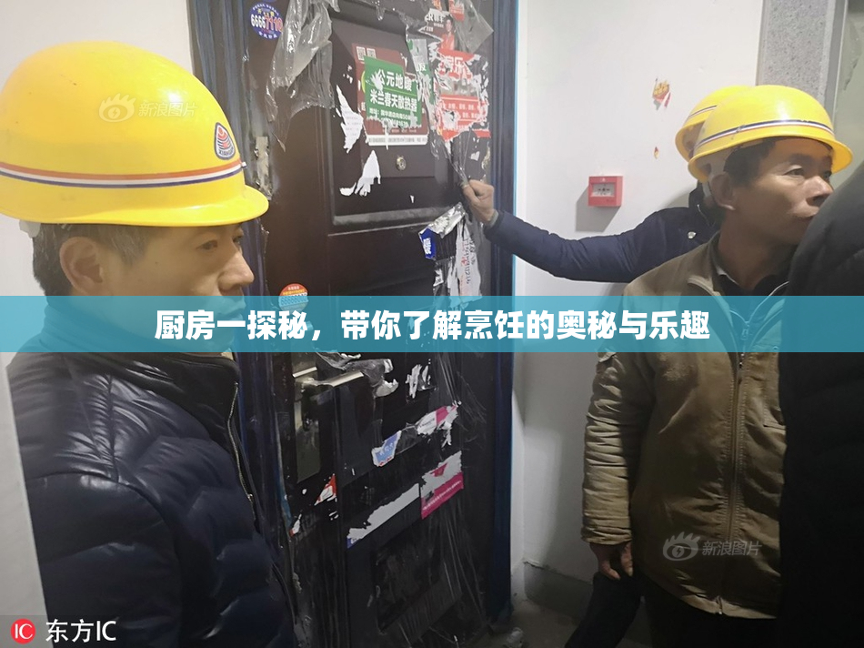厨房一探秘，带你了解烹饪的奥秘与乐趣
