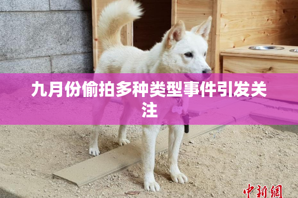 九月份偷拍多种类型事件引发关注