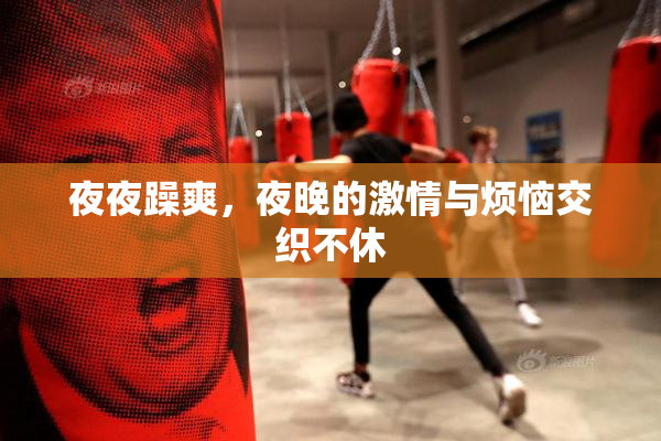 夜夜躁爽，夜晚的激情与烦恼交织不休