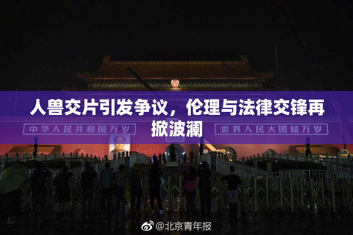 人兽交片引发争议，伦理与法律交锋再掀波澜
