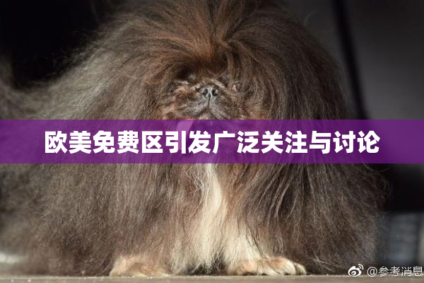 欧美免费区引发广泛关注与讨论