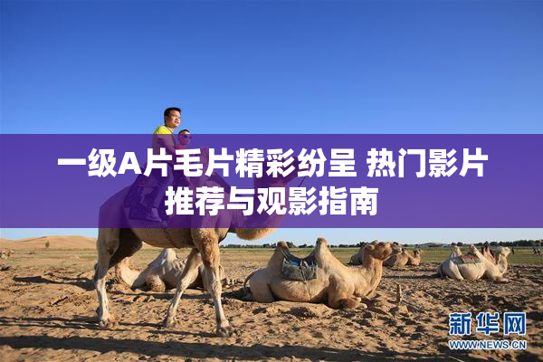 一级A片毛片精彩纷呈 热门影片推荐与观影指南