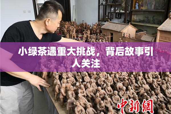 小绿茶遇重大挑战，背后故事引人关注