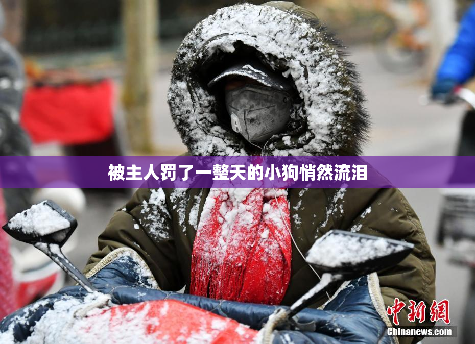 被主人罚了一整天的小狗悄然流泪
