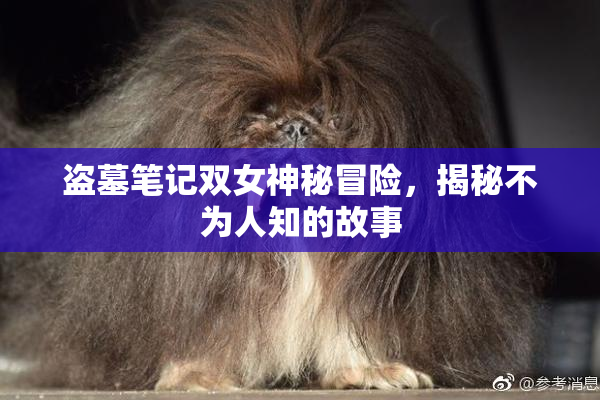 盗墓笔记双女神秘冒险，揭秘不为人知的故事