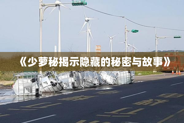《少萝秘揭示隐藏的秘密与故事》
