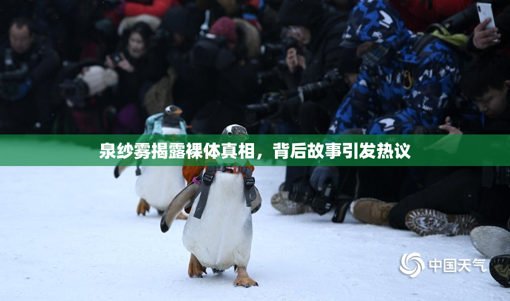 泉纱雾揭露裸体真相，背后故事引发热议