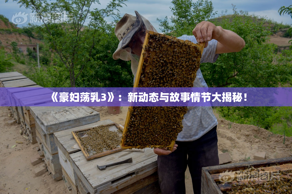 《豪妇荡乳3》：新动态与故事情节大揭秘！