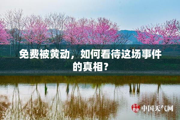 免费被黄动，如何看待这场事件的真相？