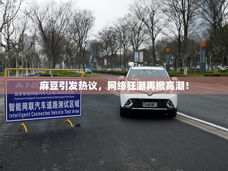 麻豆引发热议，网络狂潮再掀高潮！
