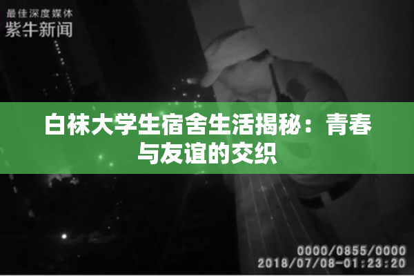 白袜大学生宿舍生活揭秘：青春与友谊的交织