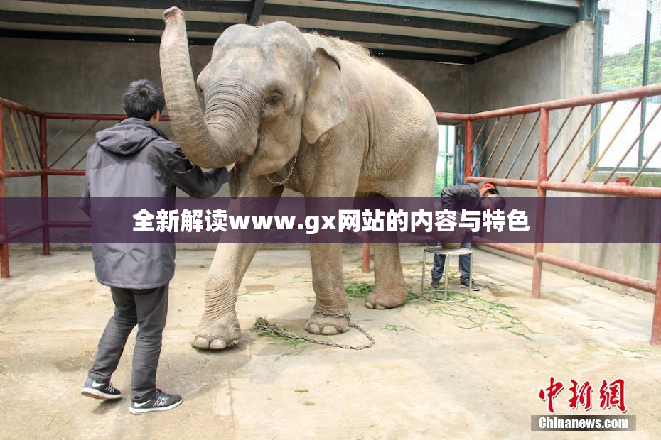 全新解读www.gx网站的内容与特色