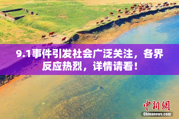 9.1事件引发社会广泛关注，各界反应热烈，详情请看！