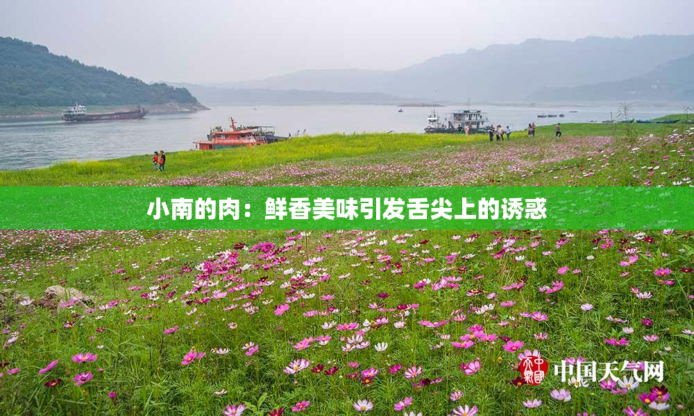 小南的肉：鲜香美味引发舌尖上的诱惑
