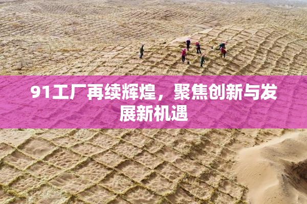 91工厂再续辉煌，聚焦创新与发展新机遇