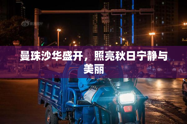 曼珠沙华盛开，照亮秋日宁静与美丽