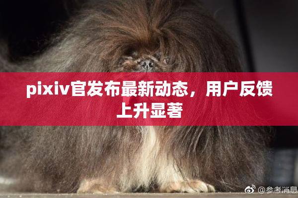 pixiv官发布最新动态，用户反馈上升显著