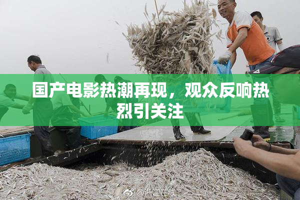 国产电影热潮再现，观众反响热烈引关注